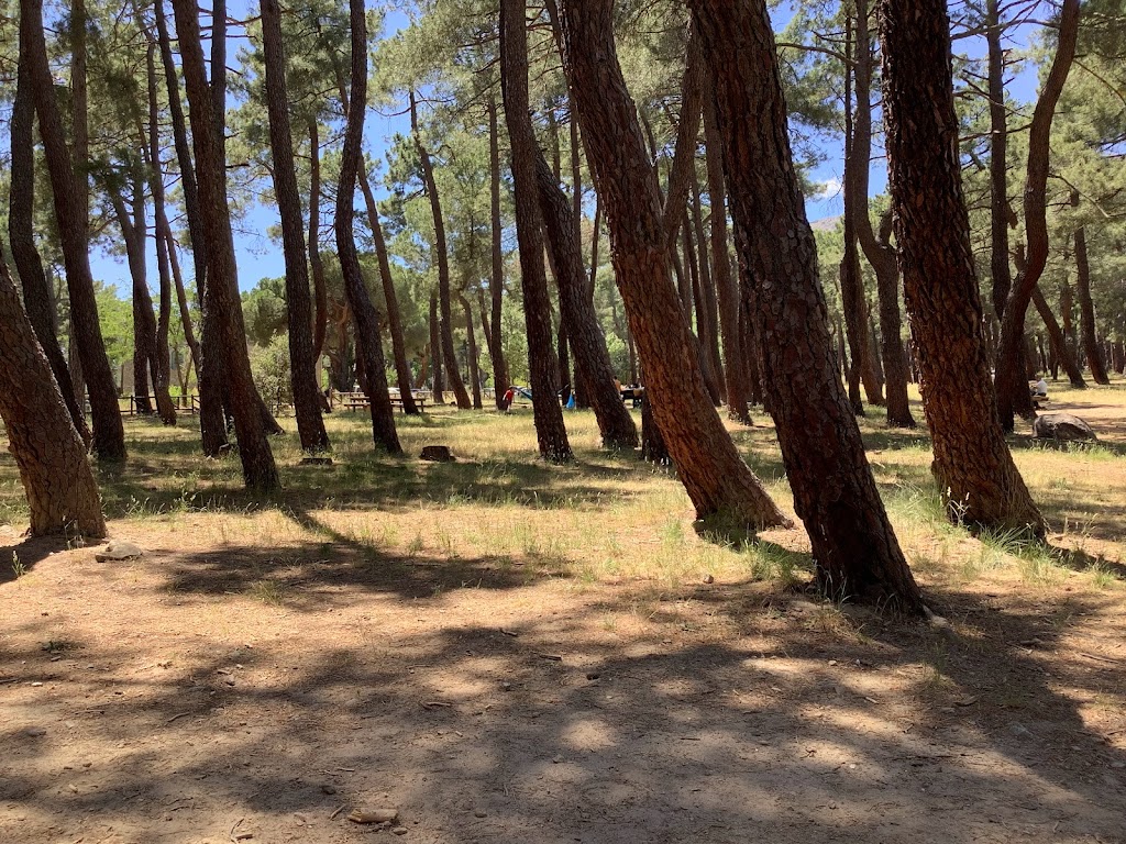 Merendero "El Tomillar".