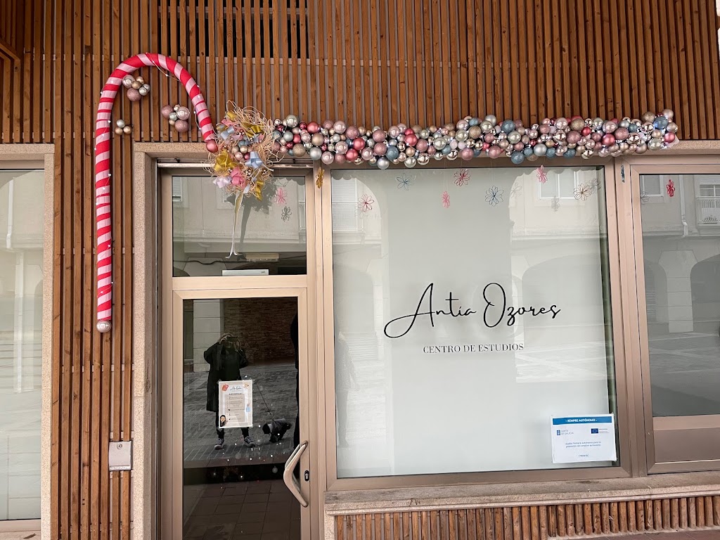 Centro de estudios Antia Ozores — Del propietario