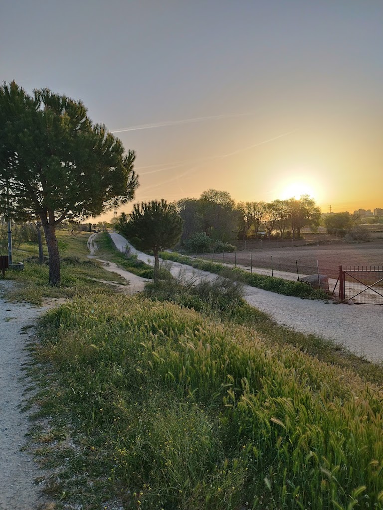 Camino del Carrilejo