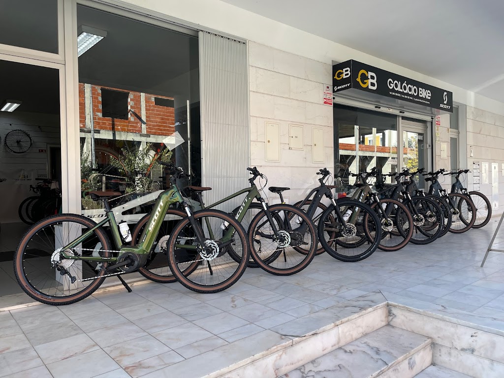 Serviço de Aluguer de Bicicletas em Evora