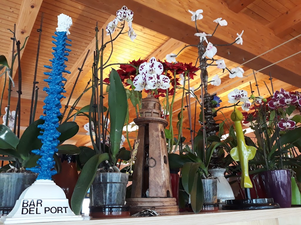 Bar del Port