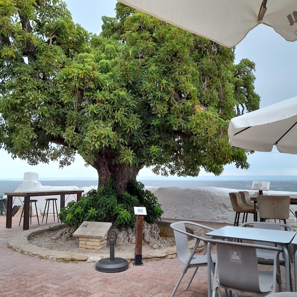 Restaurant L'Ermita - Santuari de la Mare de Deu de la Misericordia - Ermita de Sant Sebastia