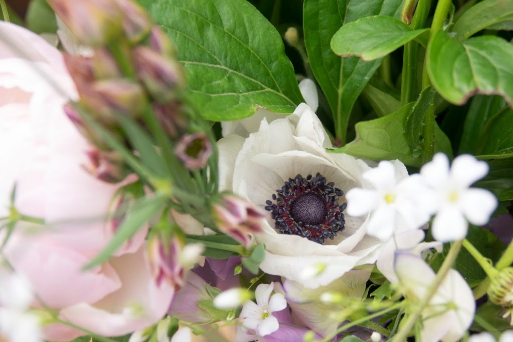 The Green Door Flower Co. Flower Farm