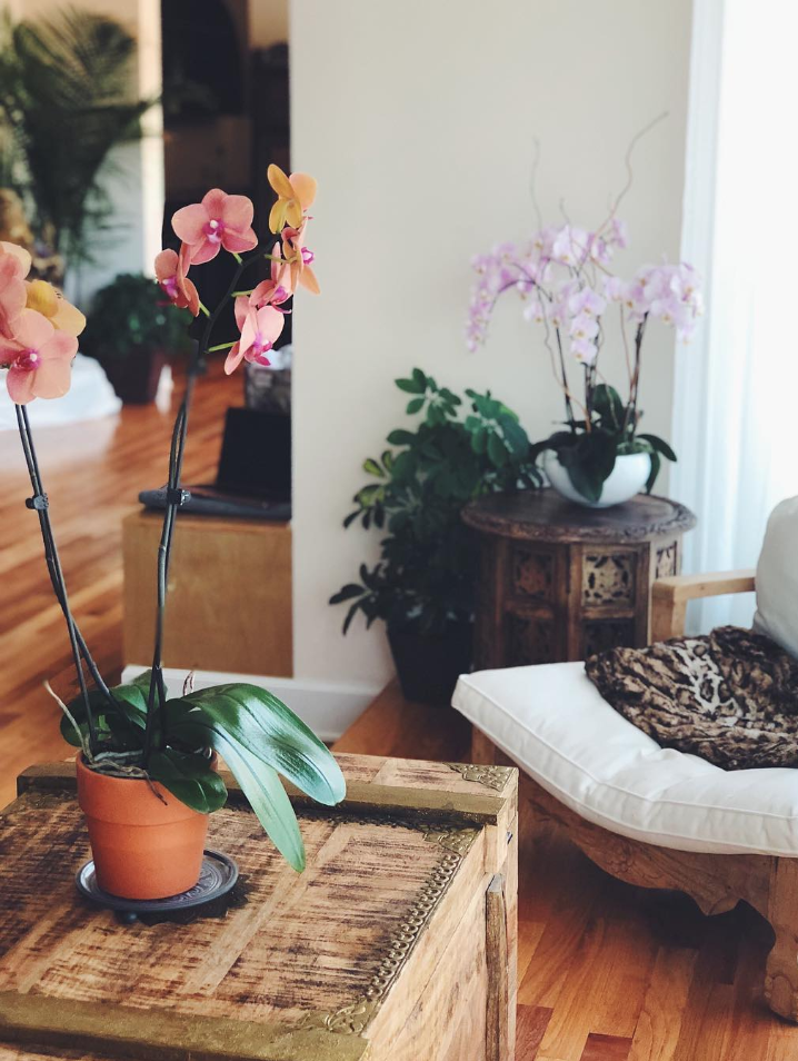  Vyana Yoga & PolariTea