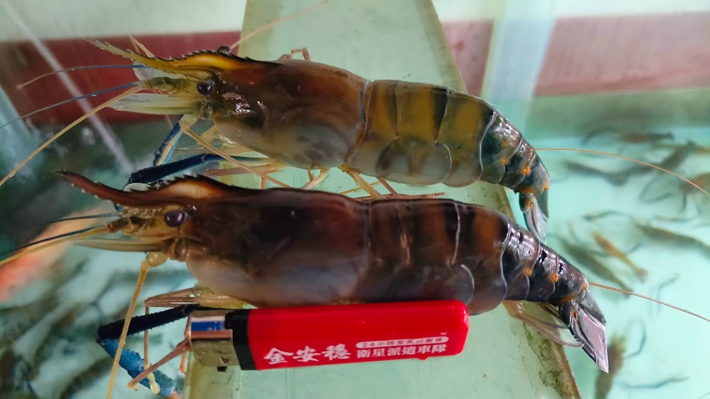 蝦迷活蝦燒烤料理 的照片