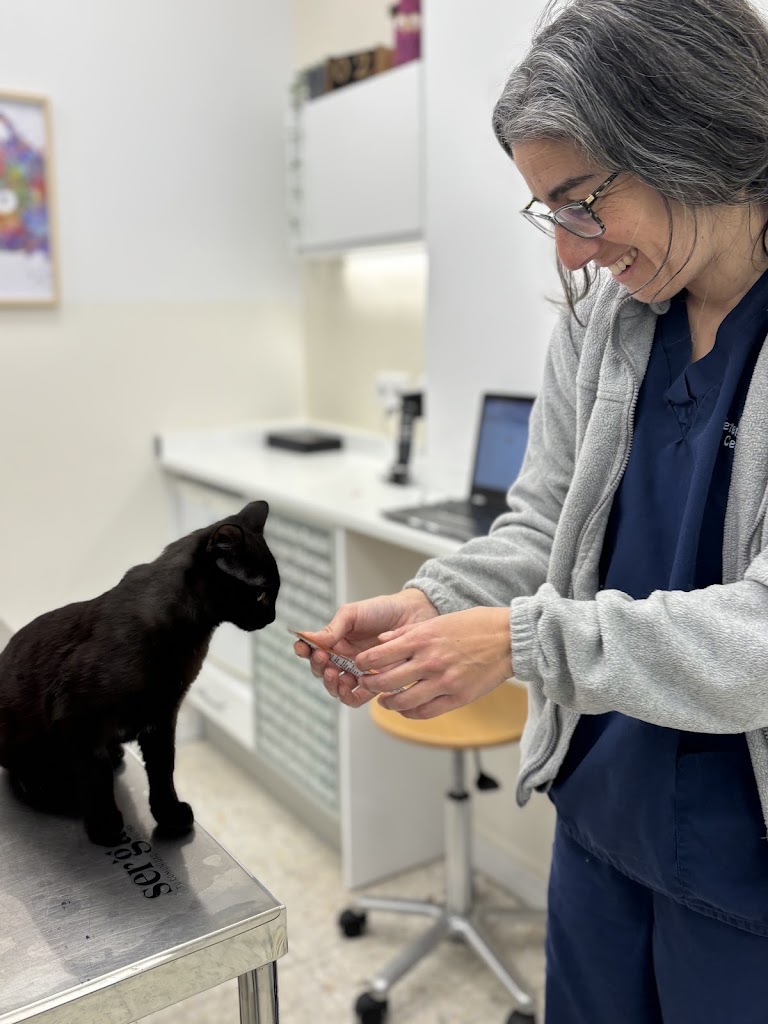 Clinica Veterinaria Parque Morales — Gato