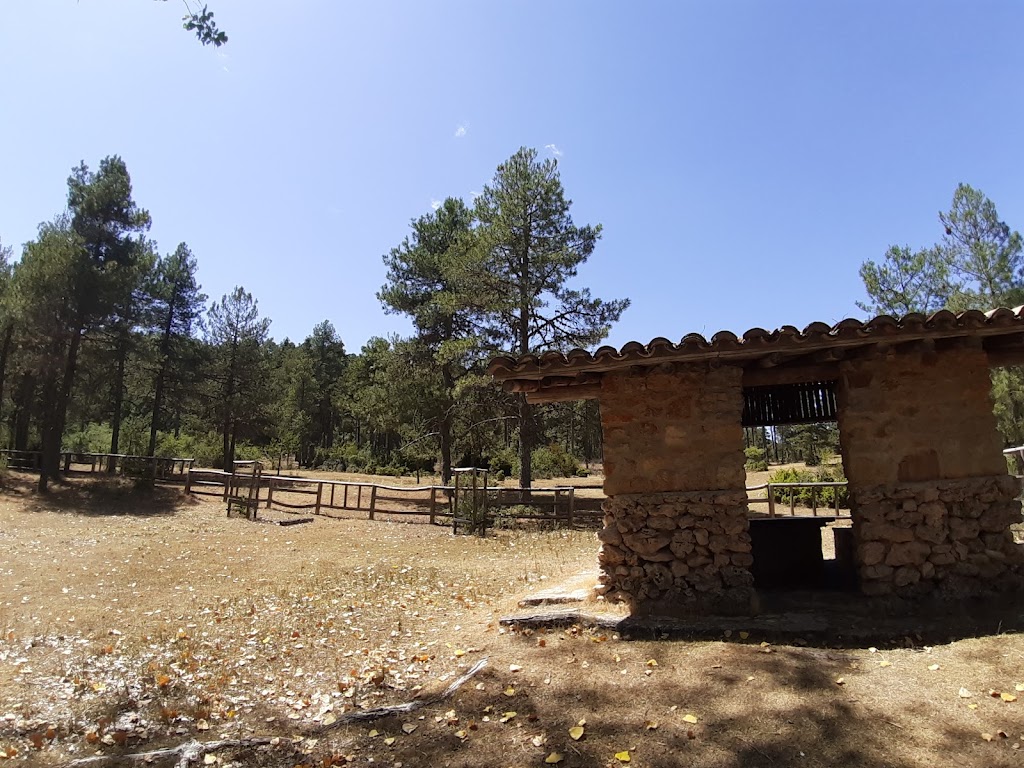 Fuente de la tia Perra
