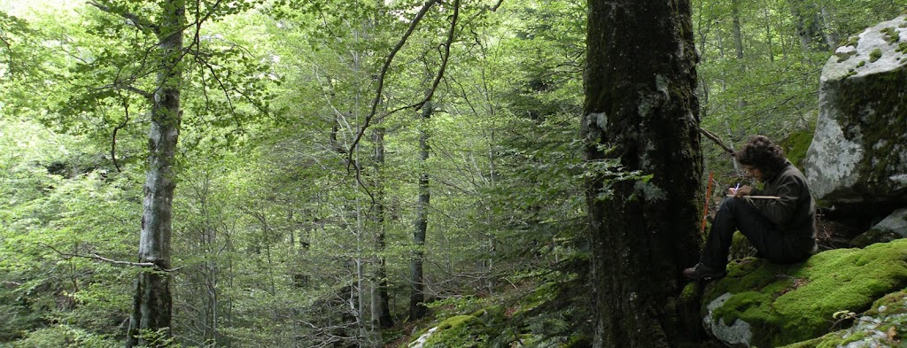 CREAF - Centro de Investigacion Ecologica y Aplicaciones Forestales