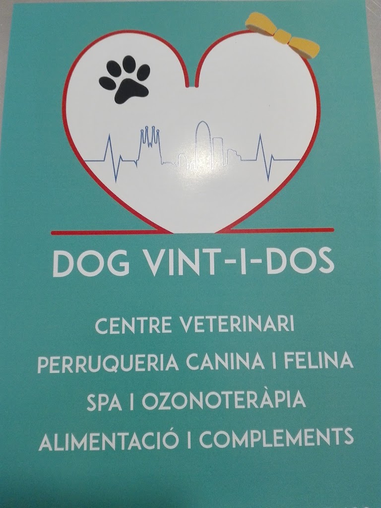 Dog22 — Del propietario