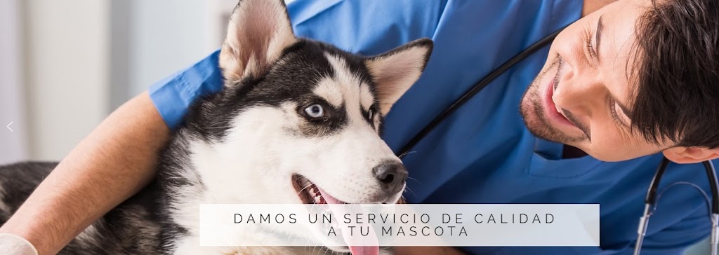 Clinica Veterinaria Molino de la Hoz - Veterinario Las Rozas
