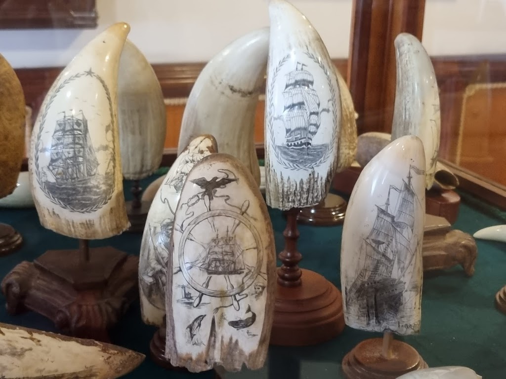 Scrimshaw museum
