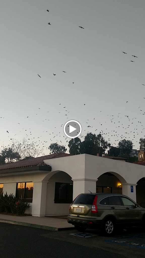 AAA Oceanside Insurance and Member Services