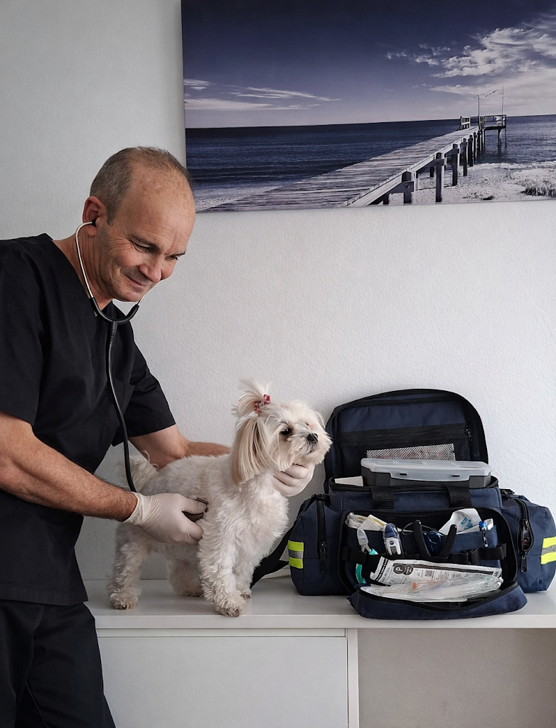 VILLA ANIMAL Asistencia Veterinaria