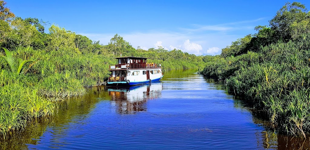 Orangutan Tour Houseboat - Borneo Eco Tour Pangkalan Bun