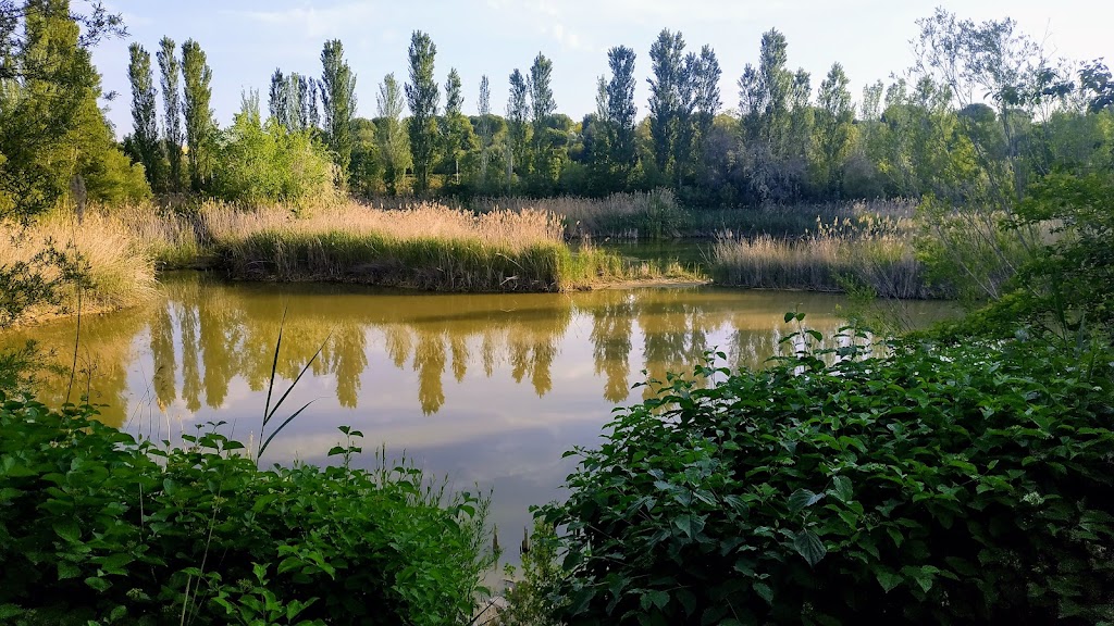 Parque de la Laguna (Llacuna)
