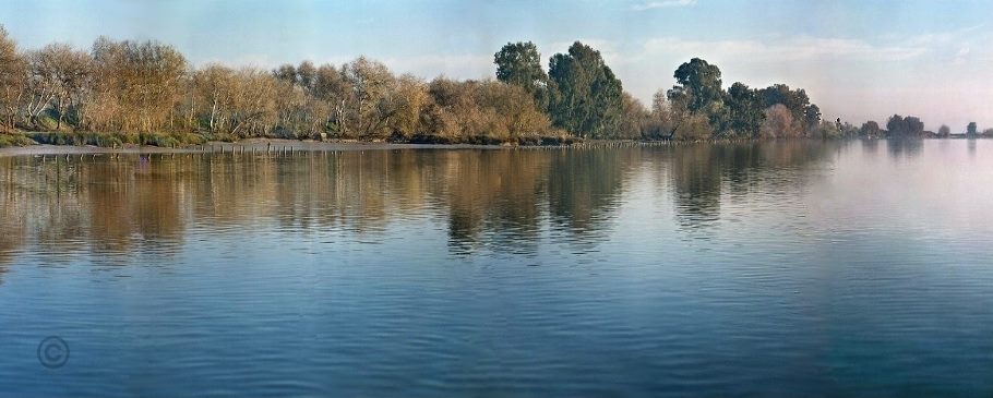 Ayuntamiento de Coria del Rio