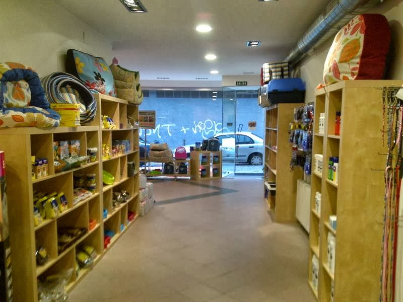 Clinica Veterinaria Soloarte