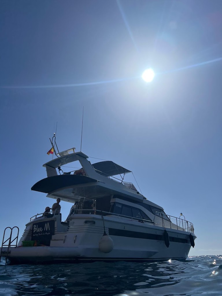 Blue M Boat Trips Puerto de Mogan — Mas recientes