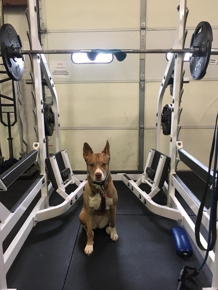  Forever Fit Foundation