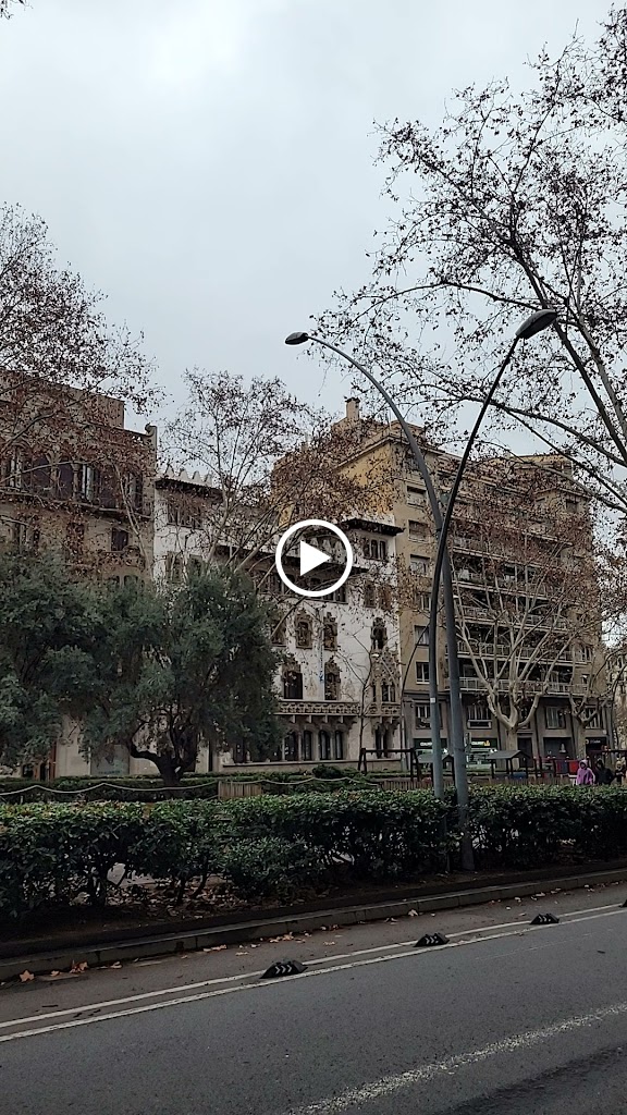 Palau Macaya — Videos