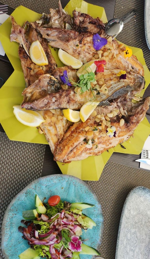 El Malecon De Mogan — Mas recientes