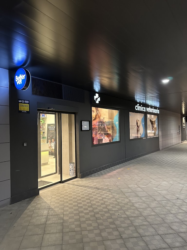 Clinica veterinaria Bettervet Soto de Lezkairu