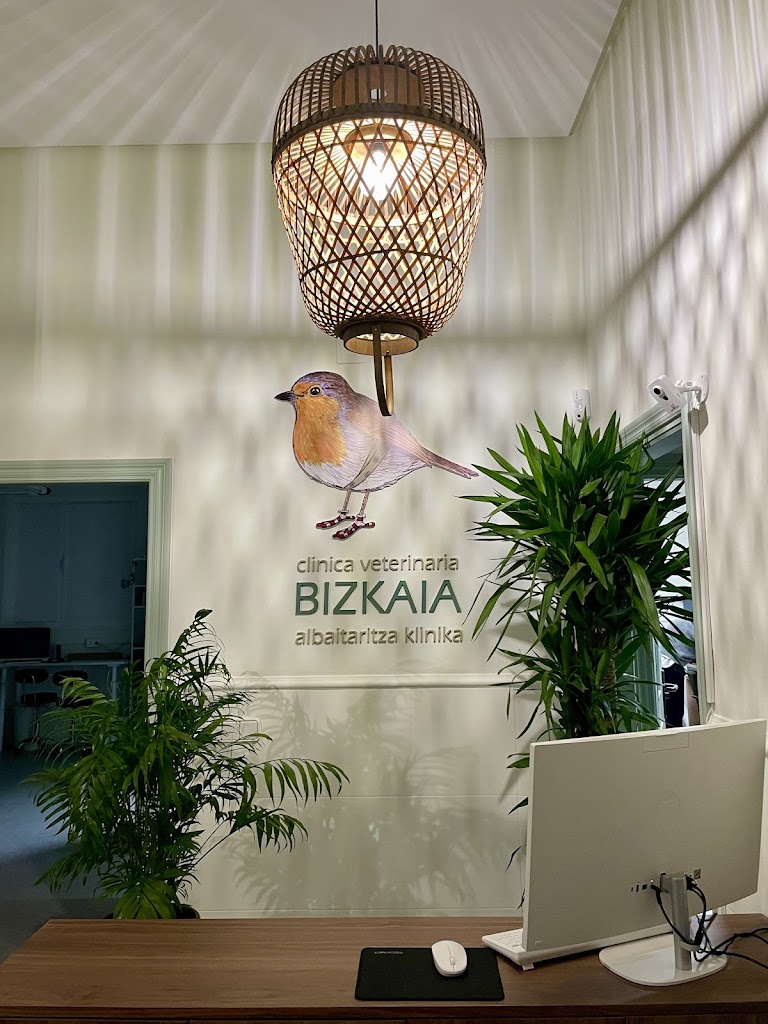Clinica veterinaria Bizkaia Albaitaritza klinika — Del propietario