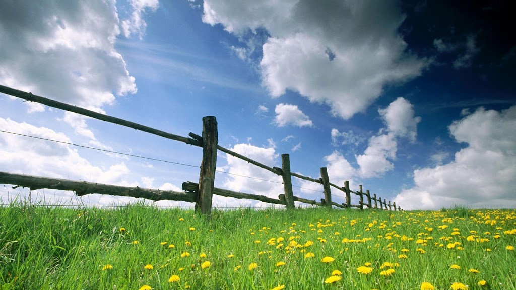 Farmhouse Networking