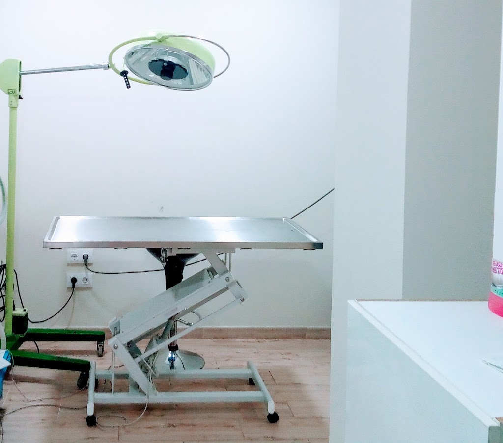 Clinica Veterinaria ADARVI — Del propietario