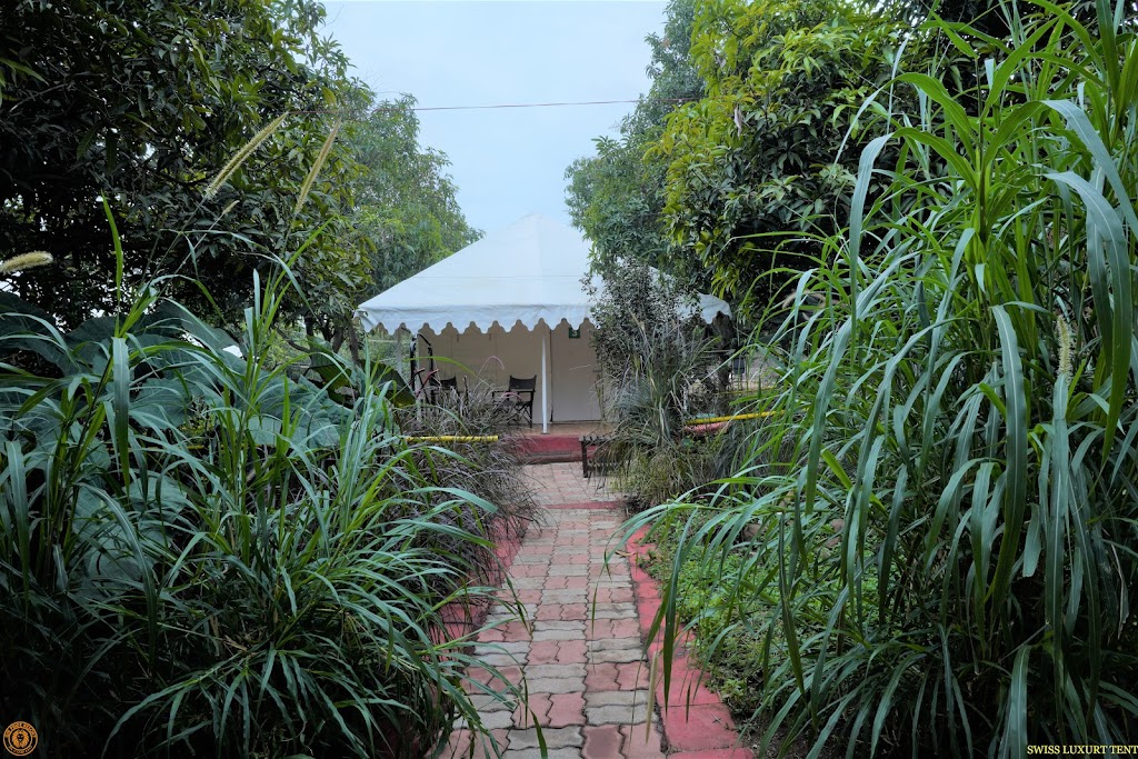 Gir Pride Resort A Jungle Theme Property