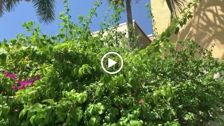  Fred Astaire Dance Studios