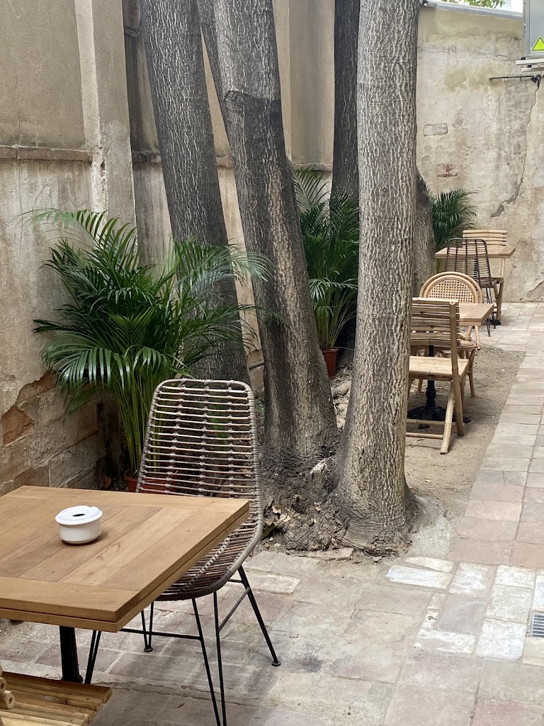 Winet Nomada — Ambiente