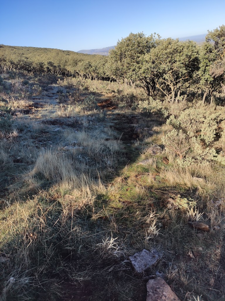 Ruta de la Lastra