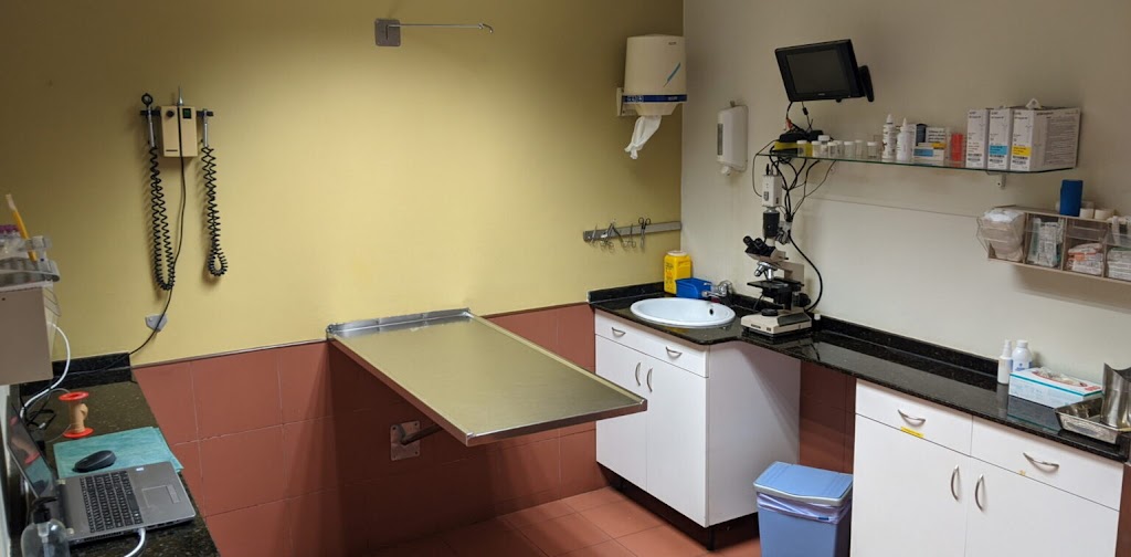 Clinica Veterinaria Elvira