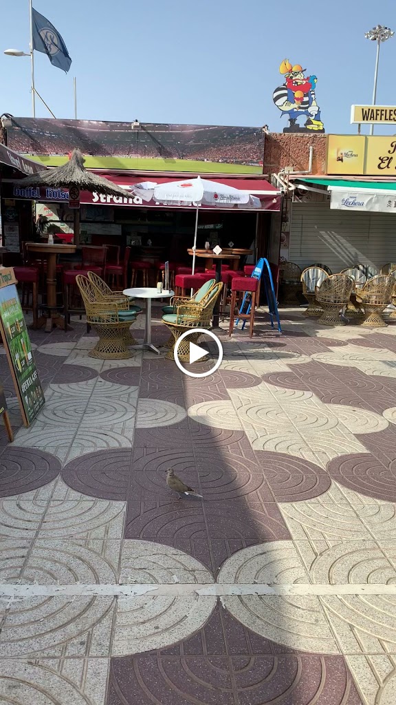 Bar Peters Strandarena — Videos