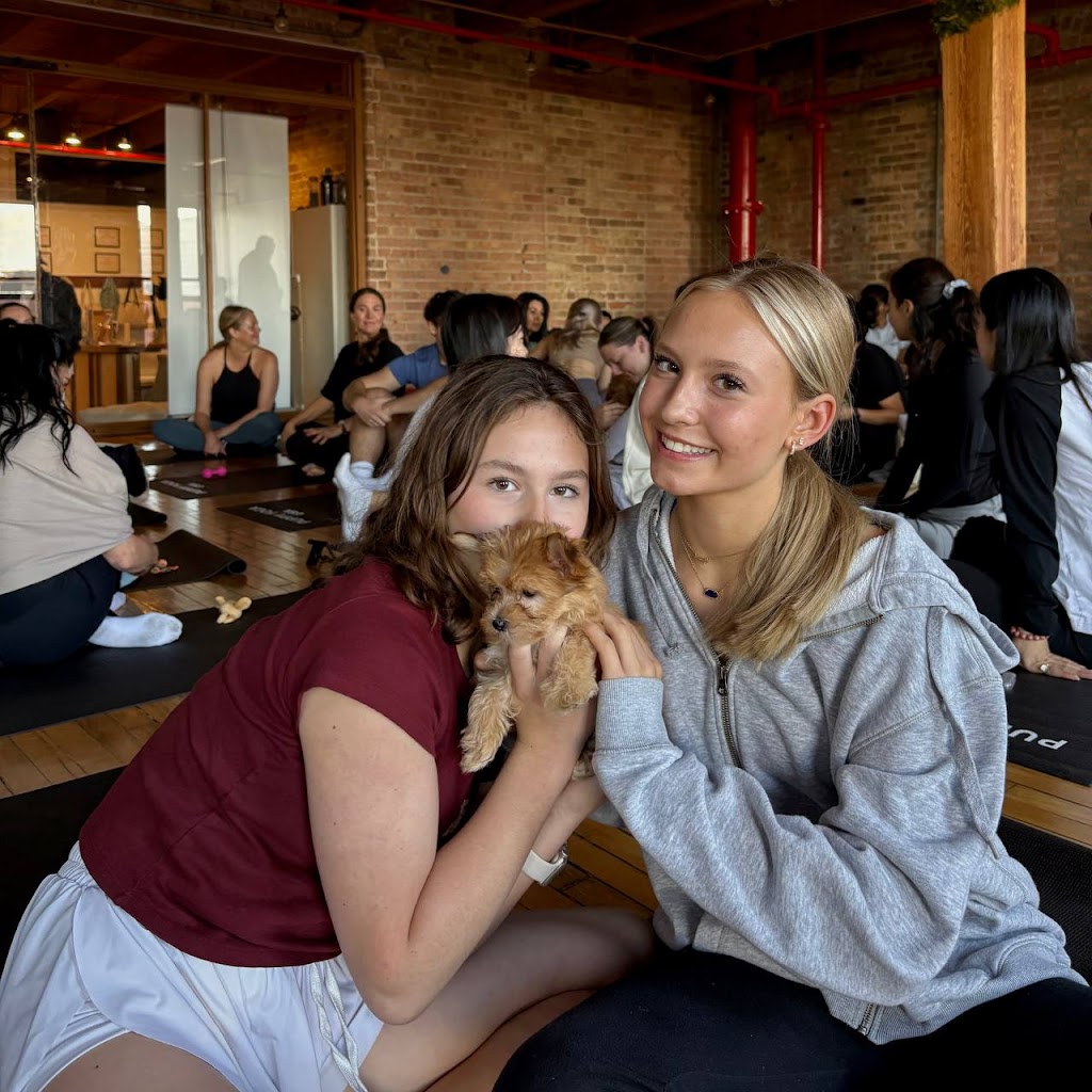  Puppy Yoga USA