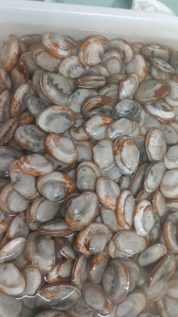 Bar cafeteria el tropezon Rocio