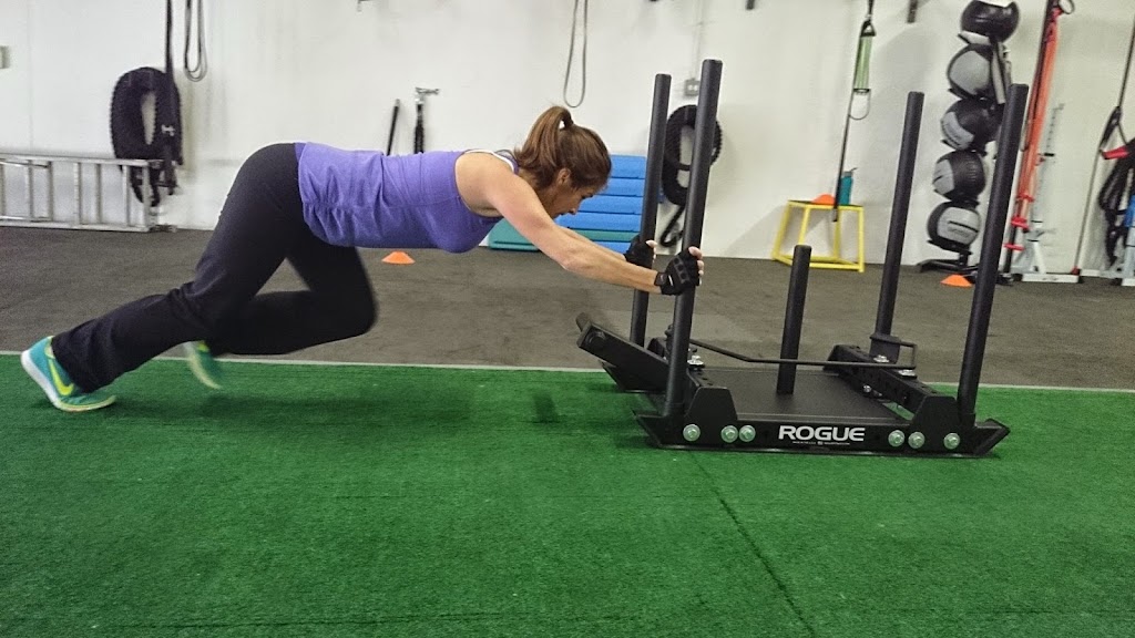  Higher Level Fitness