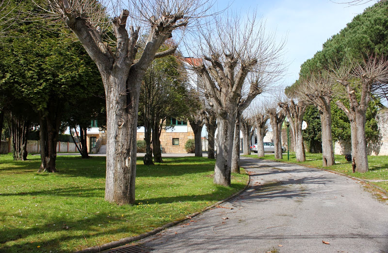 Residencia Somio — Del propietario
