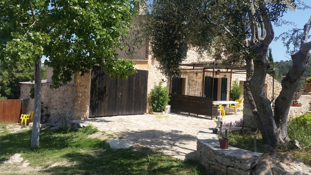 La Cigarra Alta - Can Carrasco