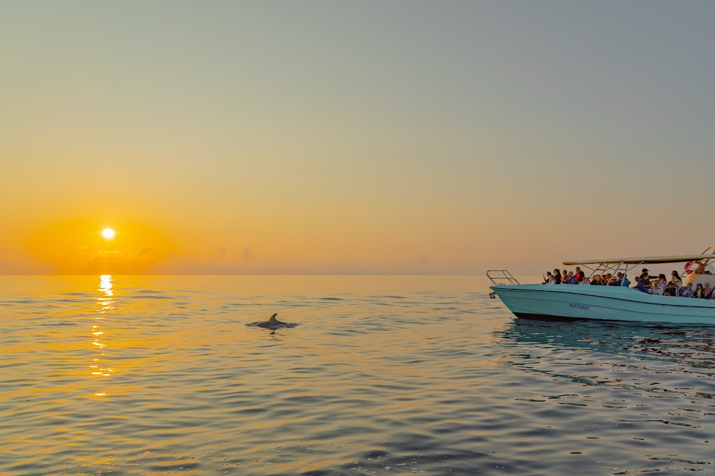 My Sea Experience | Excursiones en barco Mallorca