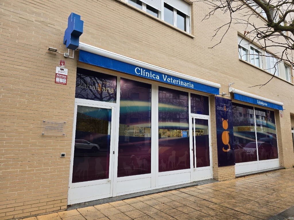 Clinica Veterinaria Zabalgana — Del propietario