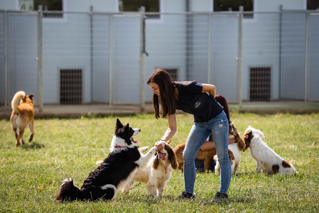 Ruralvet centro animal Grijota — Del propietario