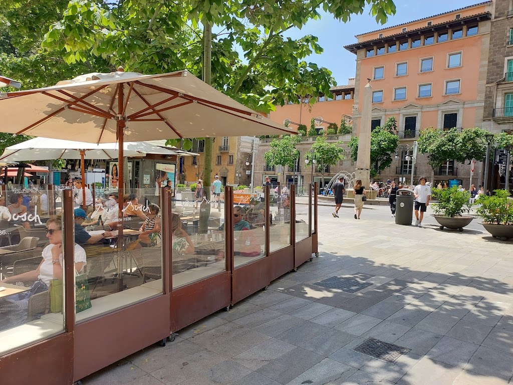 Plaza del Rey Juan Carlos I (plaza de las Tortugas)