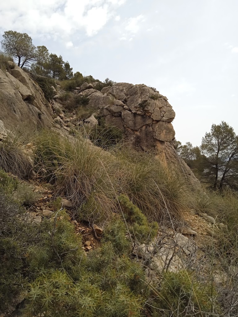 Pico Luis zapatero fuente caputa