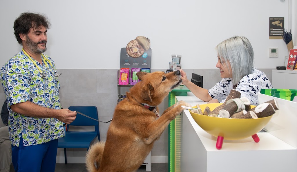 Centro Veterinario API — Del propietario