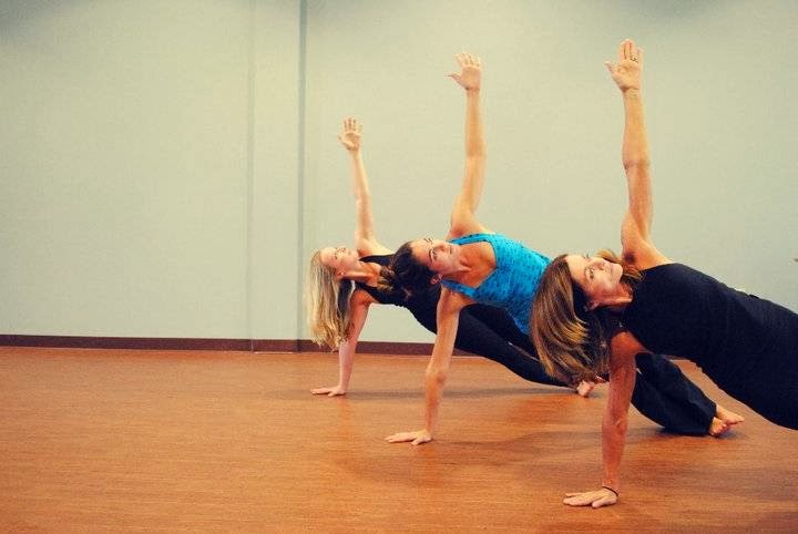  Stray Dog Yoga Studio