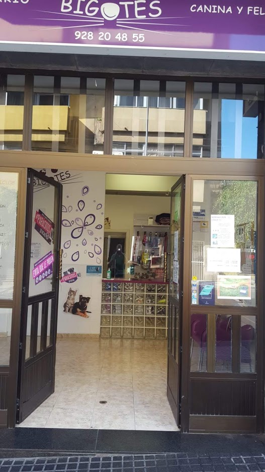 Centro veterinario Bigotes