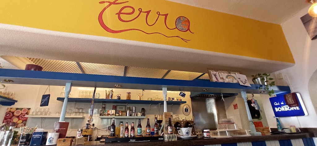 Bar y Cafeteria Terra — Ambiente