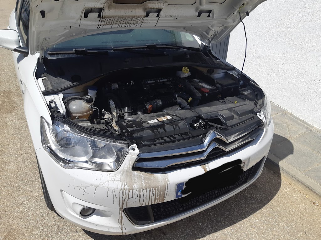 Benito Hernandez Linares